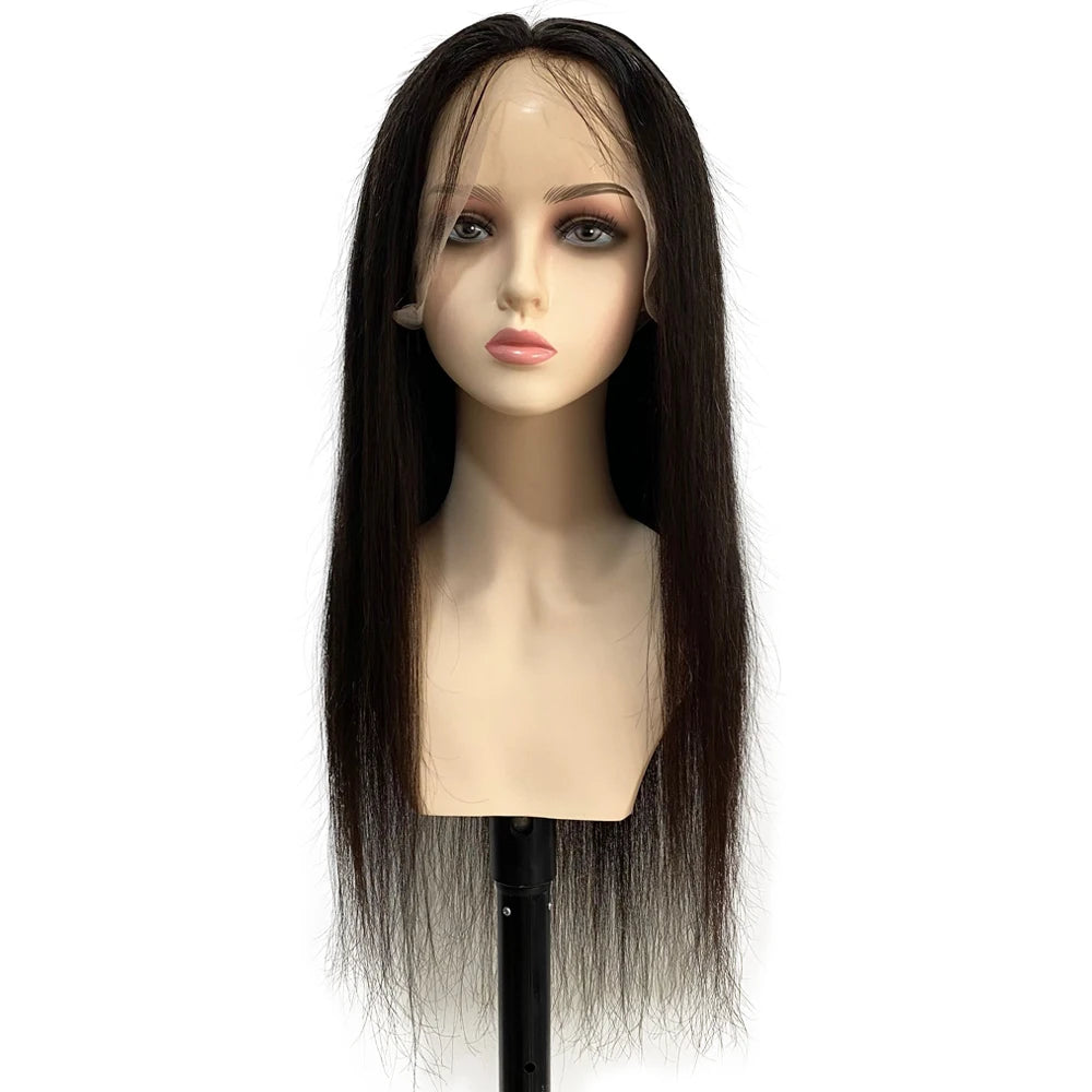 Soft Silk Base Full Lace Wig Straight Brazilian Remy Human Hair Glueless Transparent Lace Wig